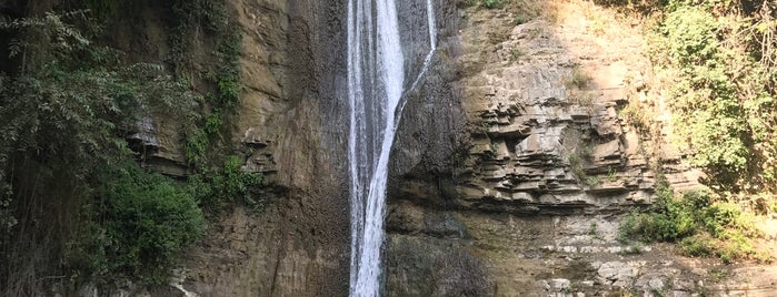 Botanical Garden | ბოტანიკური ბაღი is one of Darさんのお気に入りスポット.