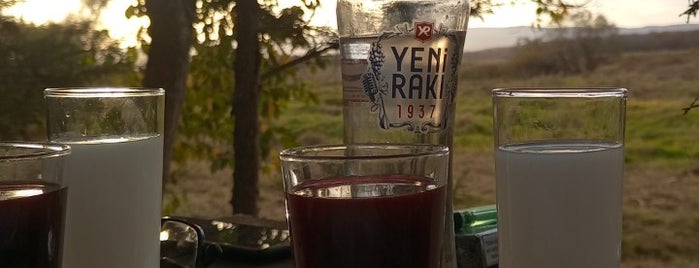Necati Babanin yeri is one of Trakya.