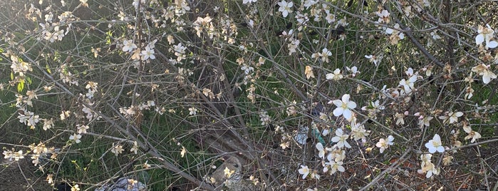 Sacher Park / גן סאקר is one of Jerusalem.