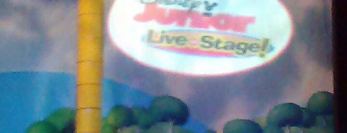 Disney Junior - Live on Stage is one of WdW Hollywood Studios.