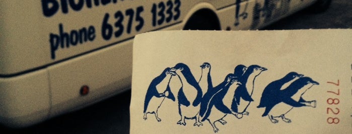 Bicheno Penguin Tours is one of Tasmania 2014.