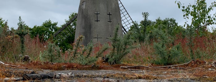 Bidston Hill Windmill is one of UK.
