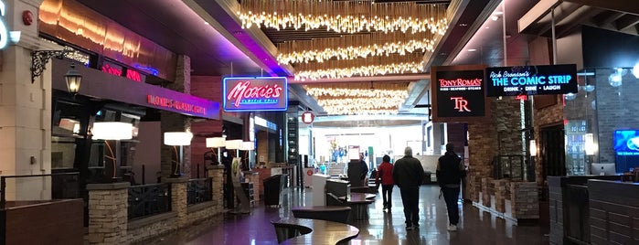 West Edmonton Mall is one of Edmonton's Best Attractions.