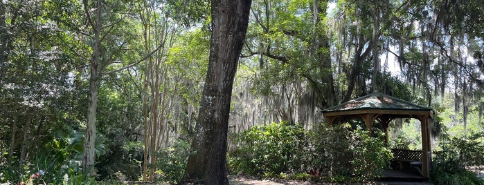 Ravine Gardens State Park is one of Florida State Parks.