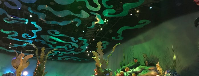 Mermaid Lagoon is one of Tokyo Disney Resort♡.
