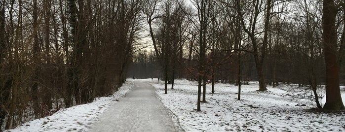 Englischer Garten Nordteil is one of Munich January 2019.