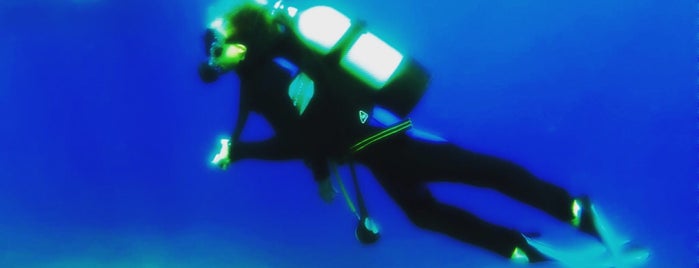 Körfez Diving is one of Gezmece ve Yemece.