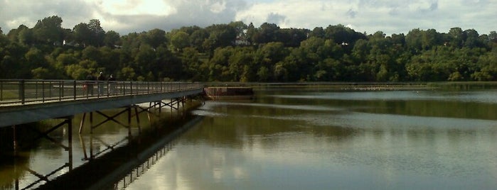 Turning Point Park is one of Picturesque Rochester.