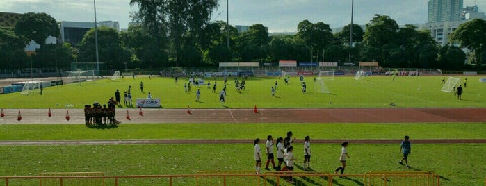 Toa Payoh Stadium is one of Soccer.