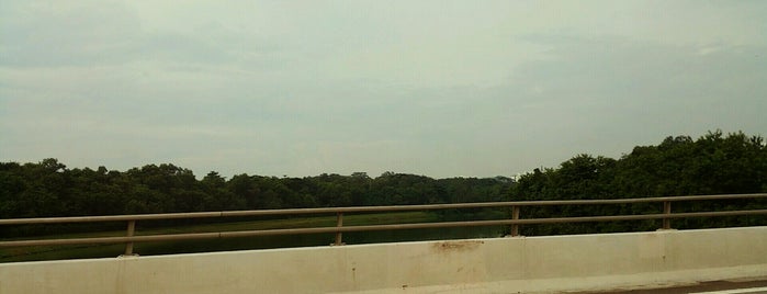 Halus Bridge (TPE) is one of Singapore #4 🌴.