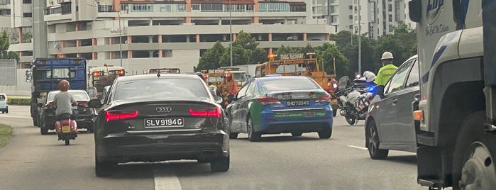Bukit Timah Expressway (BKE) is one of Singapore #4 🌴.