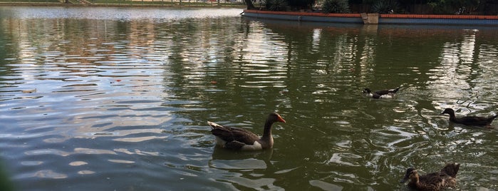 Lago dos Patos is one of Guarulhos.