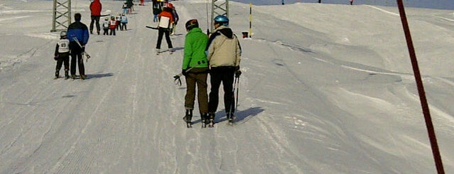 Mittelstation Lüsch Skilift is one of Skigebiete.