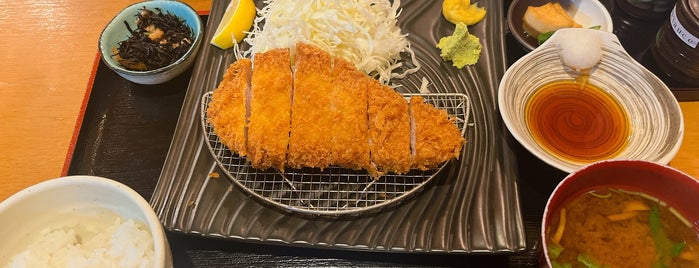 Tonkatsu Hasegawa is one of 和食.