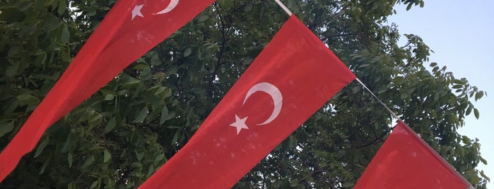Kapubağ Çimenlik is one of Doğa.