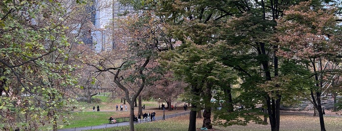 Central Park - The Waterfall is one of NYC Bucket List 2018.