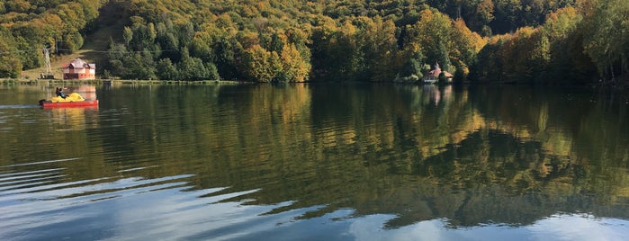 Lacul Bodi Mogoșa is one of Maramures.