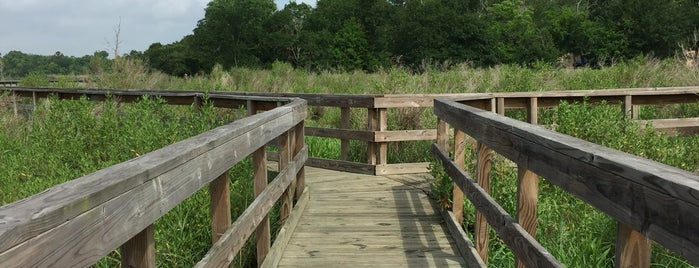 Bay Area Park is one of The 11 Best Spacious Places in Clear Lake, Houston.