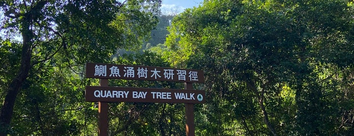 Tai Tam Country Park (Quarry Bay Extension) is one of Hiking HKG.