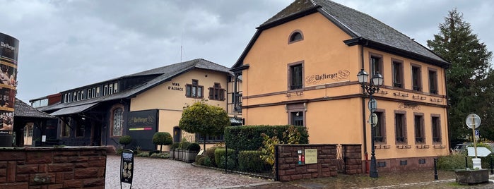 Wolfberger - Cave Vinicole d'Eguisheim is one of Lugares favoritos de Gokhan.