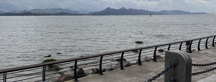 Mangrove Natural Reserve is one of Hong Kong.