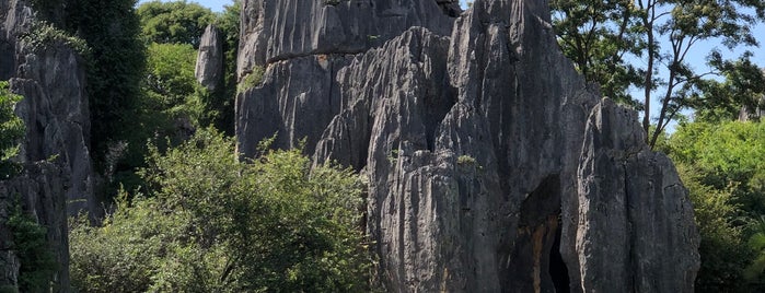 Stone Forest is one of Leah : понравившиеся места.