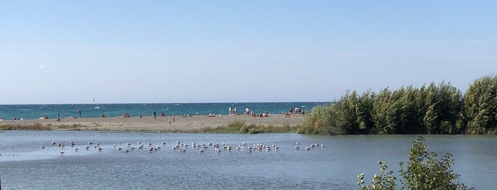 VinoGrad pool is one of Сочи.