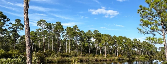Big Lagoon State Park is one of Pensacola /Perdido Key.