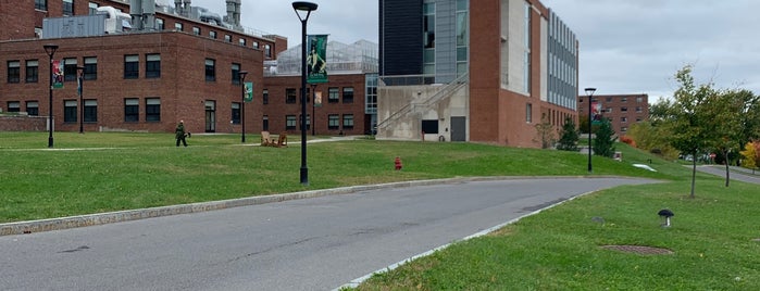 Le Moyne College is one of LMC.