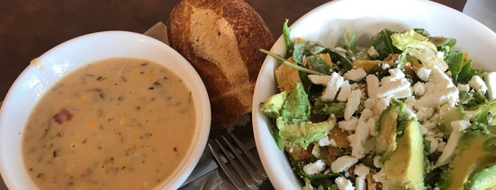 Panera Bread is one of Syracuse Experience.