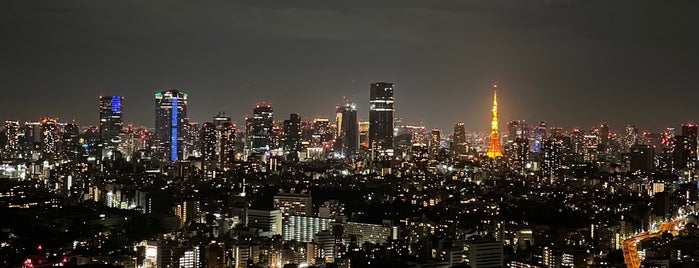 Yebisu Garden Place Tower is one of Locais curtidos por Hideo.