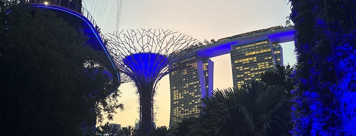 OCBC Skyway is one of Singapore достопримечательности.