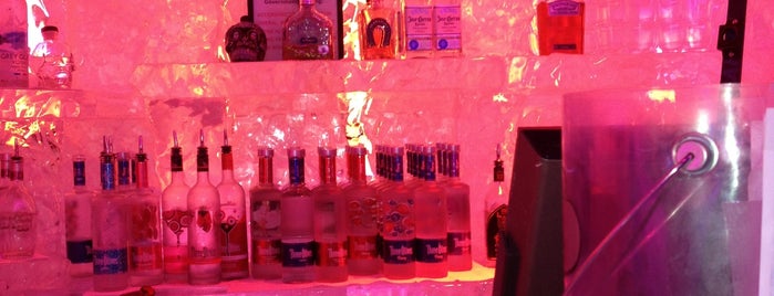 Minus 5° Ice Bar is one of NYC Bars: To Go.