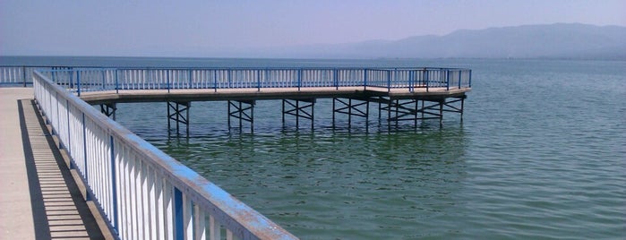 İznik Gölü is one of Bursa'nın Görülmesi Gereken Yerleri.