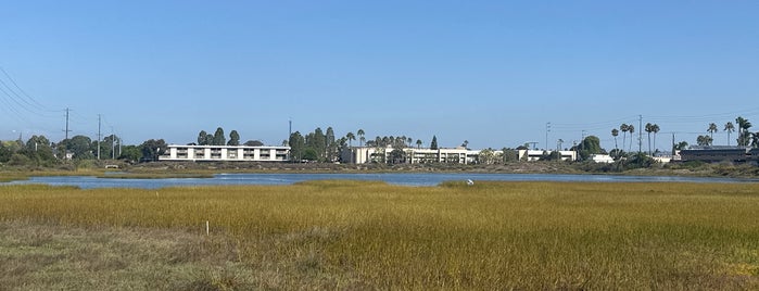 Ocean Beach/Point Loma