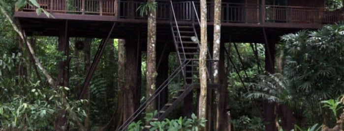 Khoa Sok Nature Resort is one of Tempat yang Disukai Paolo.