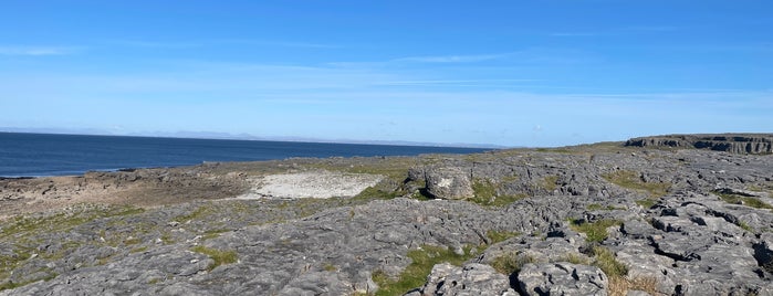 The Burren is one of Gone 4.