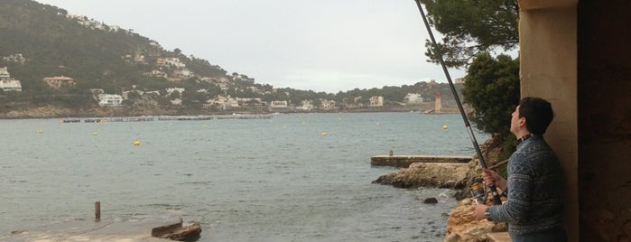 Port d'Andratx is one of Mallorca.