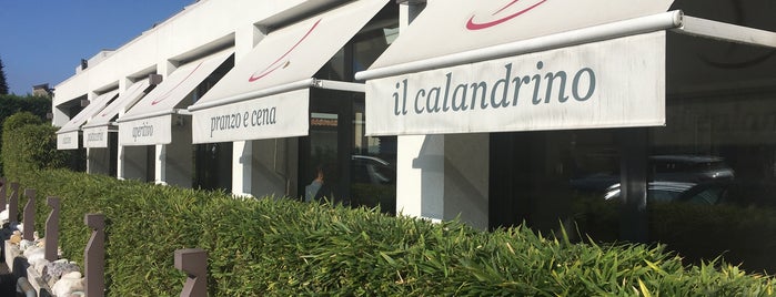Il Calandrino is one of Padova/Padua PD restaurants.