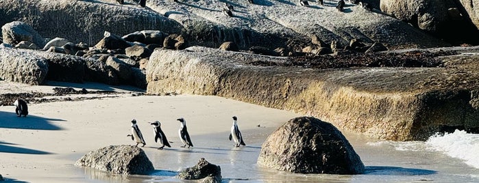 Boulders Beach is one of Cape Town.