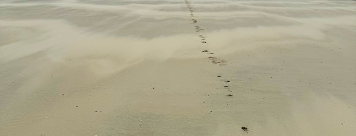 Strand Blankenberge is one of Lieux sauvegardés par ☀️ Dagger.