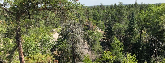 Pine Point Rapids Lookout is one of Tempat yang Disukai Matthew.