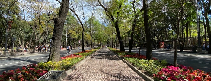 Alas de la Ciudad is one of The 9 Best Sculpture Gardens in Mexico City.