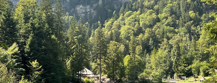 Blausee is one of Onur'un Kaydettiği Mekanlar.