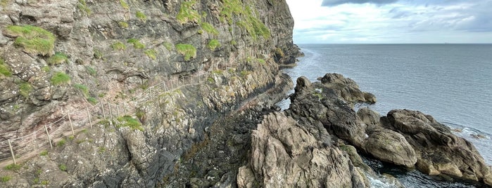 The Gobbins Cliff Path is one of Irland.