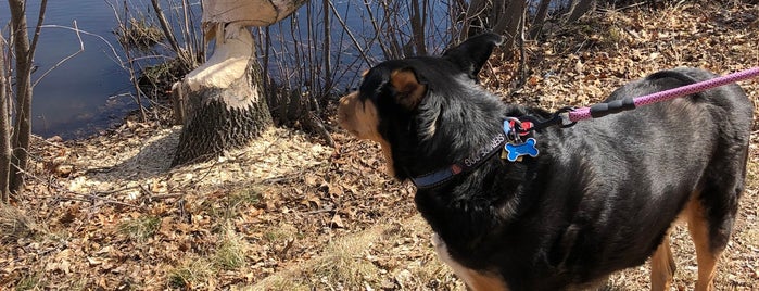 Bluegill Bay Park is one of Chrisito’s Liked Places.