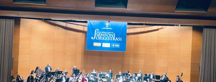 Bursa Devlet Senfoni Orkestrasi is one of Bursa Mekanları.