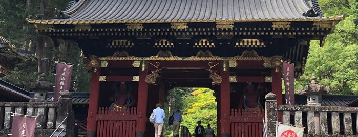 大猷院 仁王門 is one of World Heritage.