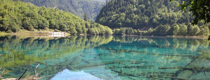 Jiuzhaigou National Park is one of China Trip 2015.