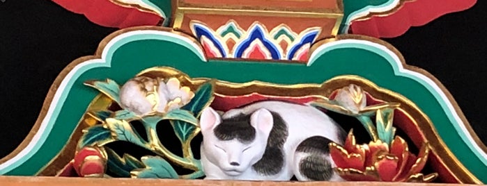Nemuri Neko (Sleeping Cat) is one of World Heritage.